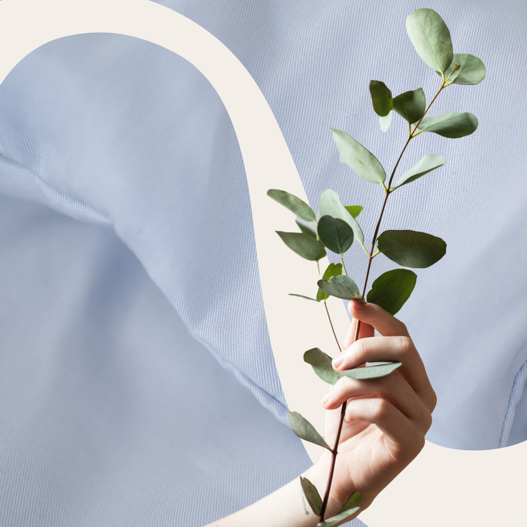 WAHL 1: Innovative Textilien - Super weiche Materialien, hergestellt aus Eukalyptus. - Stets auf der Suche nach nachhaltigen Stoffen.